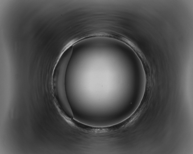 X0000085790858200703231306