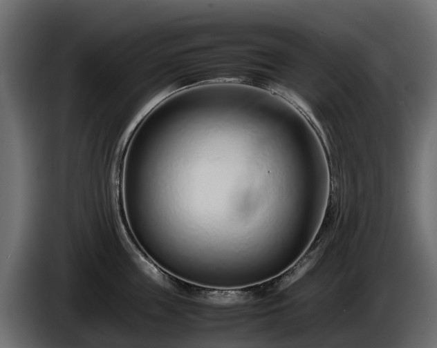 X0000085790859200703231306