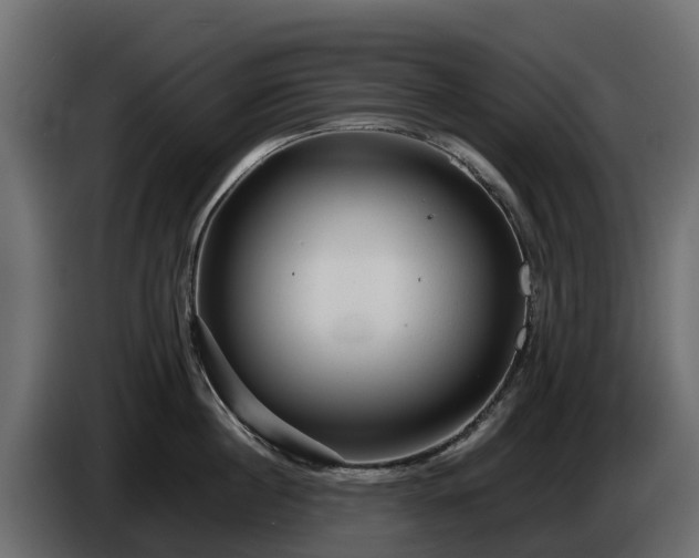 X0000085790860200703231306
