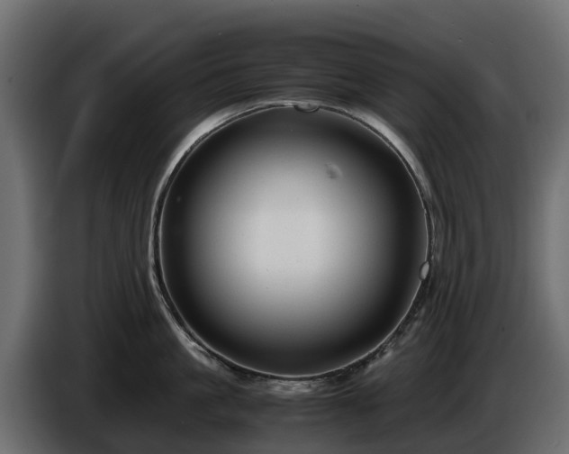 X0000085790861200703231306