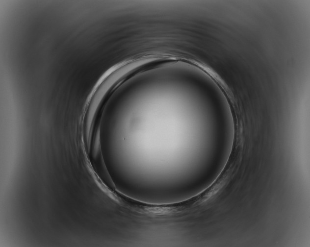 X0000085790862200703231306