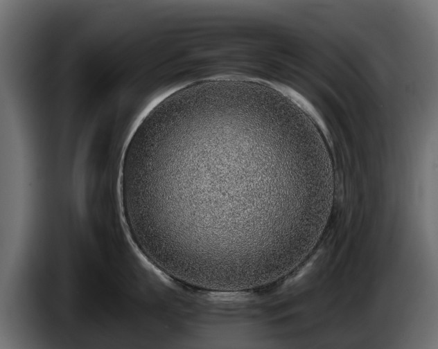 X0000085790863200703231306