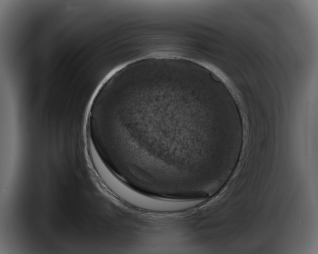 X0000085790864200703231306