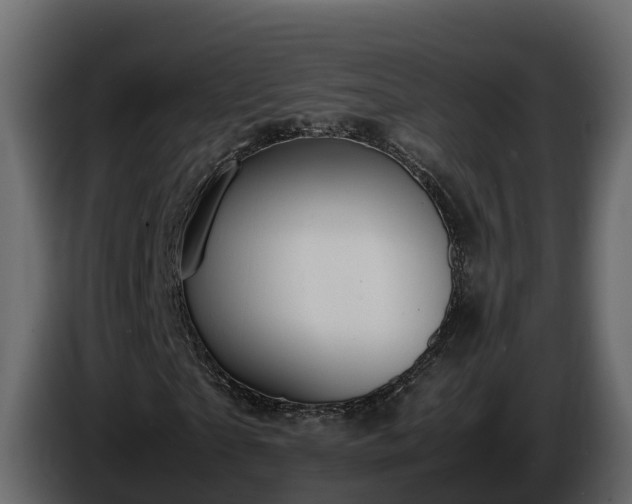 X0000085790865200703231306