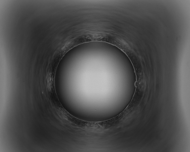 X0000085790866200703231306