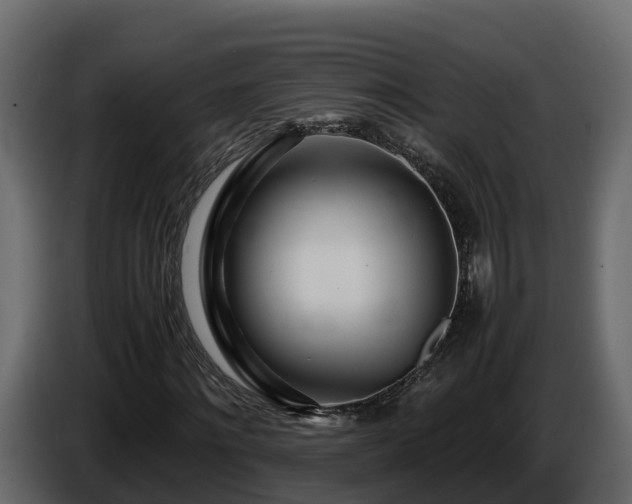 X0000085790868200703231306
