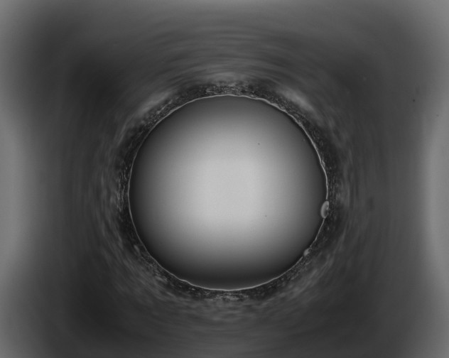 X0000085790869200703231306