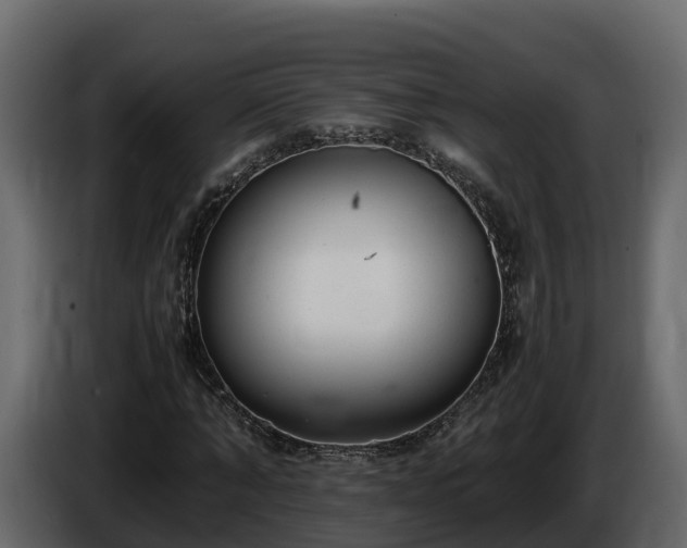 X0000085790870200703231306