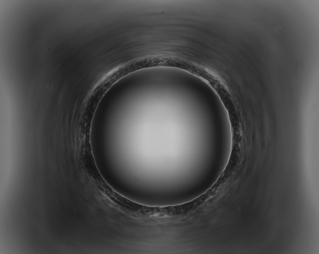 X0000085790872200703231306