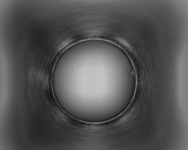 X0000085790873200703231305