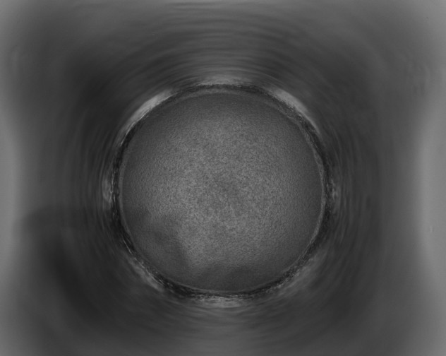 X0000085790874200703231305