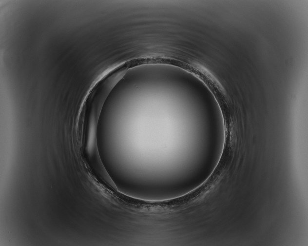 X0000085790876200703231305