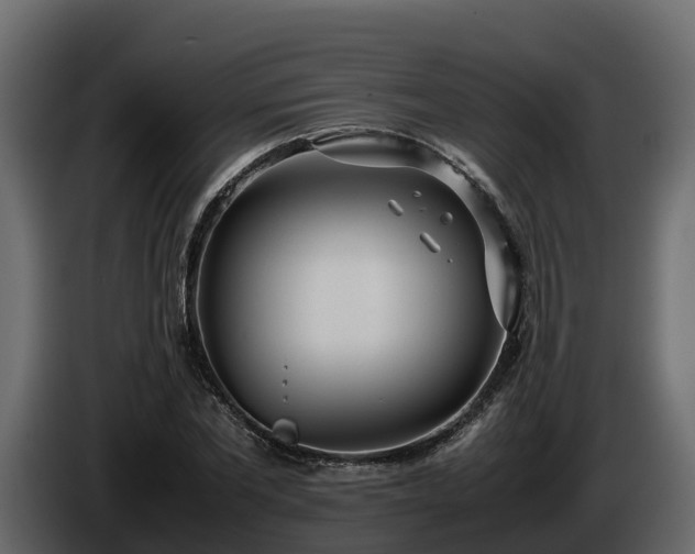 X0000085790877200703231305