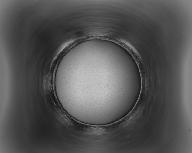 X0000085790878200703231305