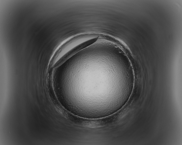 X0000085790879200703231305
