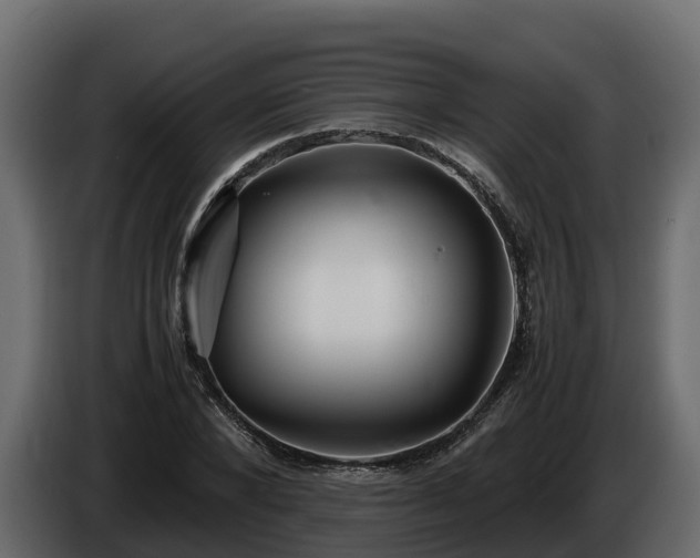 X0000085790880200703231305