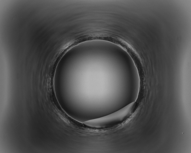 X0000085790881200703231305