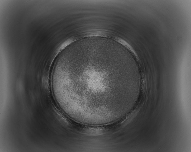 X0000085790882200703231305