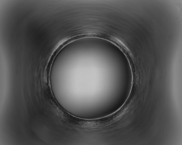 X0000085790883200703231305