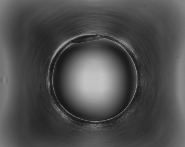 X0000085790888200703231305
