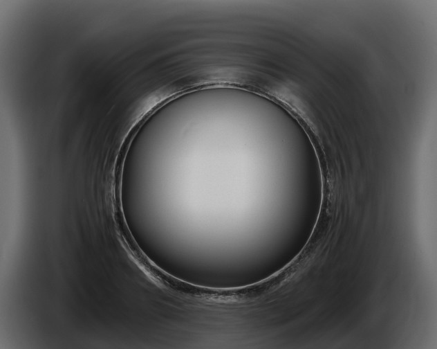 X0000085790890200703231305