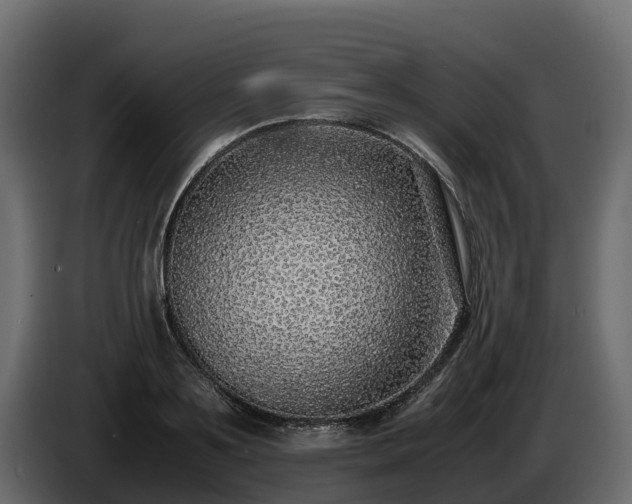 X0000085790891200703231305