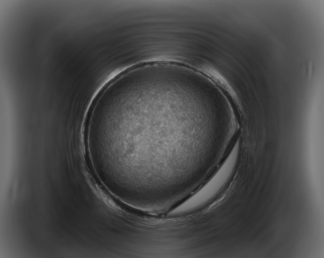 X0000085790892200703231305