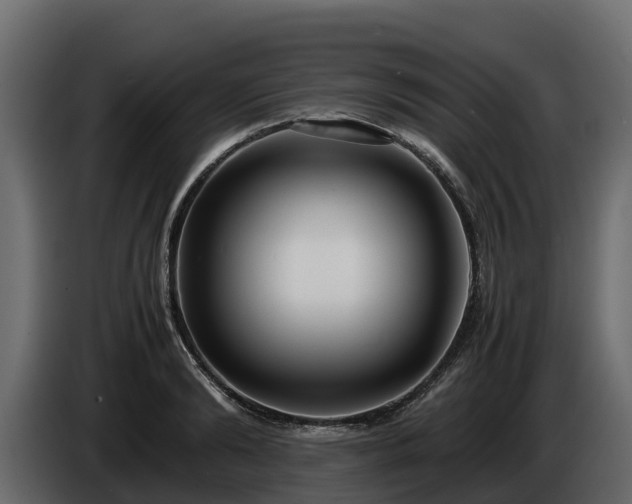 X0000085790894200703231305