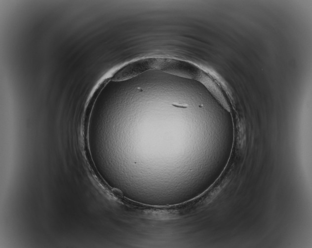 X0000085790896200703231305