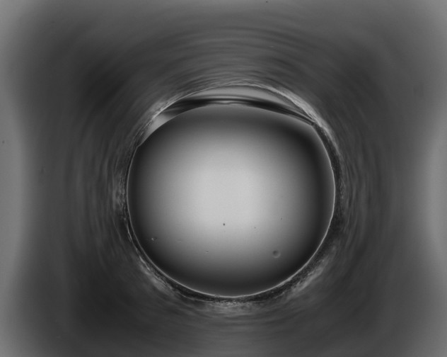 X0000085790897200703231305