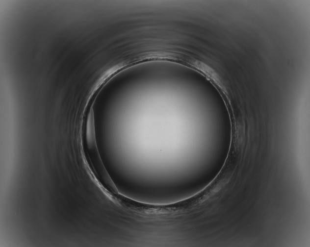 X0000085790898200703231305