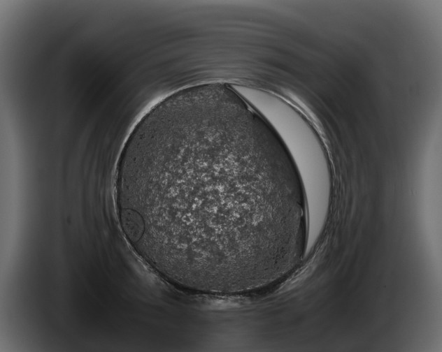 X0000085790899200703231305