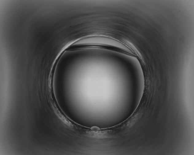 X0000085790900200703231305