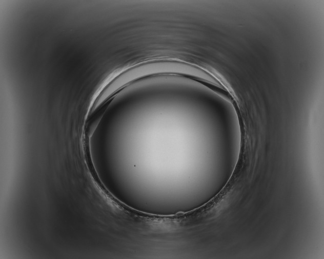 X0000085790901200703231305