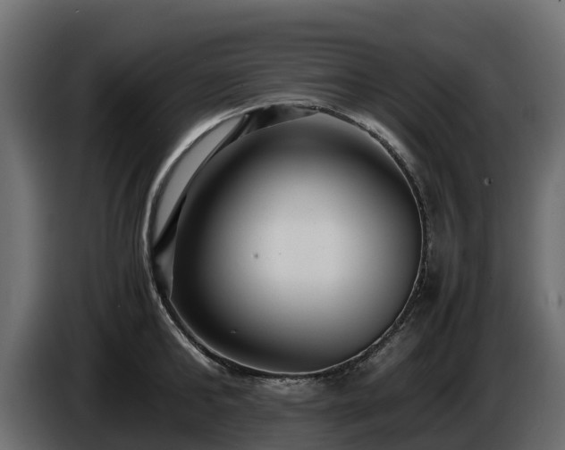 X0000085790902200703231305