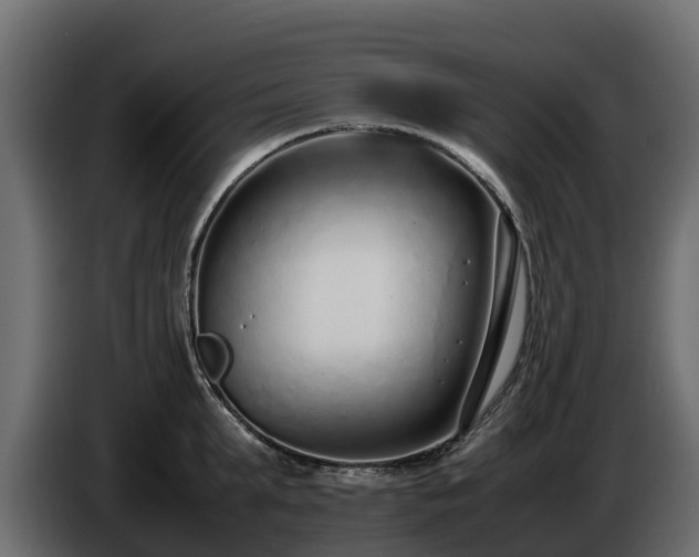 X0000085790903200703231305