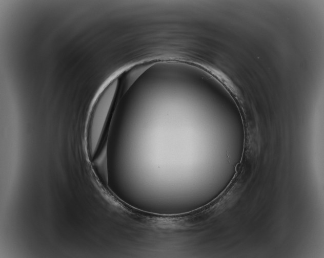 X0000085790904200703231305