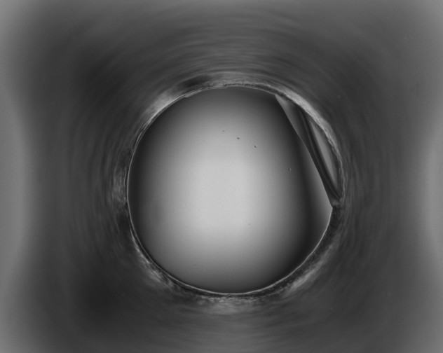 X0000085790905200703231305