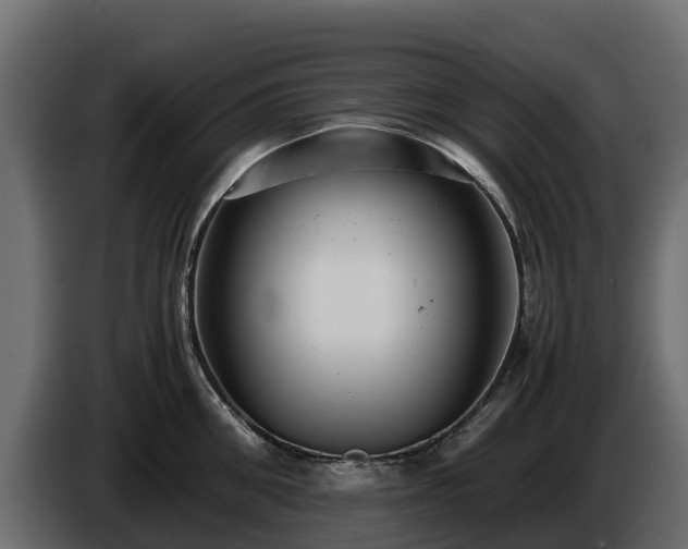 X0000085790906200703231305