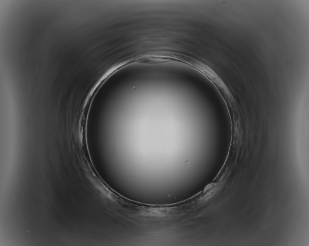 X0000085790908200703231305