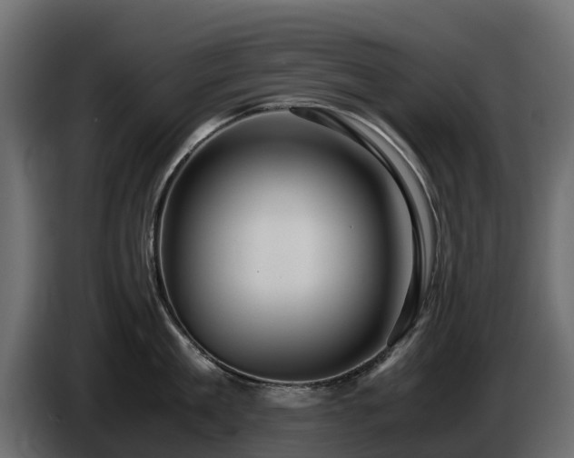 X0000085790909200703231305
