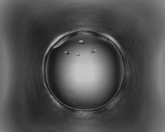 X0000085790910200703231305