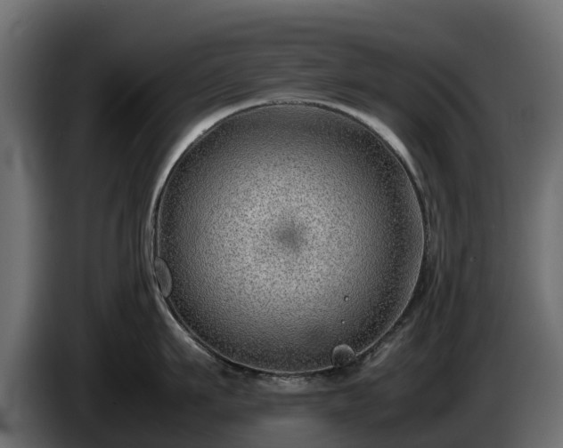 X0000085790911200703231305