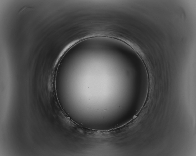 X0000085790912200703231305