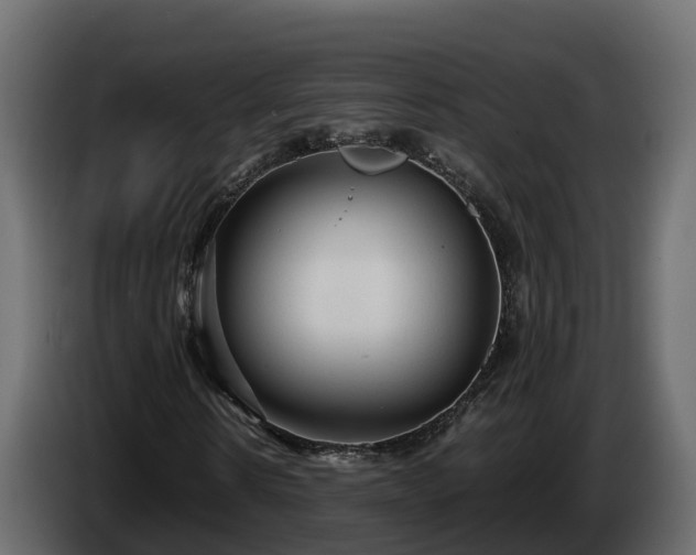 X0000085790914200703231304
