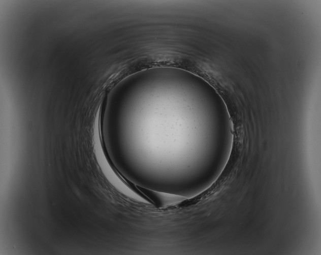X0000085790916200703231304