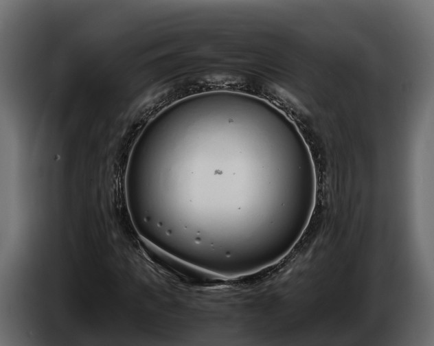 X0000085790917200703231304