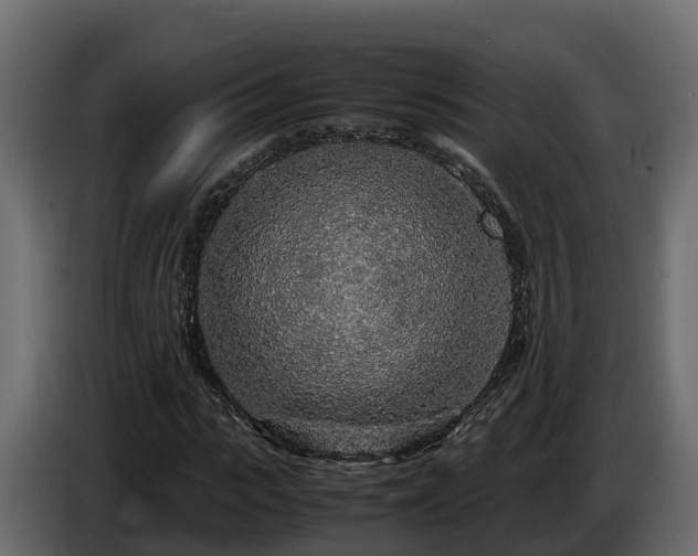 X0000085790919200703231304