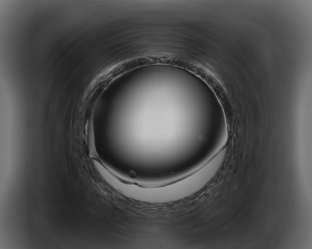 X0000085790920200703231304