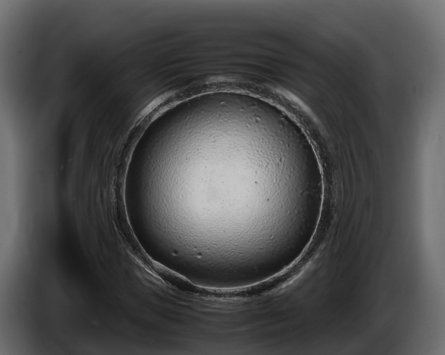 X0000085790921200703231304